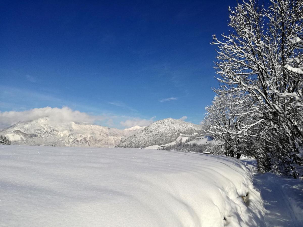Tramberger Apartments Reith im Alpbachtal Dış mekan fotoğraf